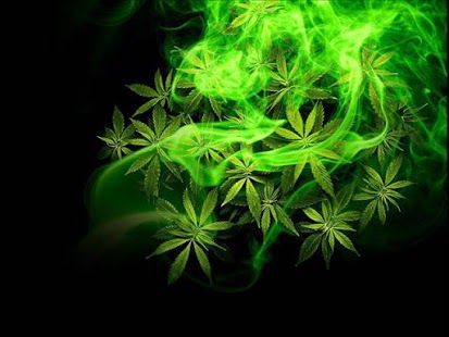 Marihuana zwiększa szum neuronalny, GrowEnter