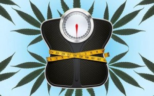 Czy palenie marihuany zapobiega wzrostowi masy ciała?, GrowEnter