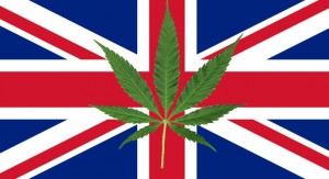 Brytyjska policja nie będzie dłużej ścigać za posiadanie i uprawę marihuany, GrowEnter